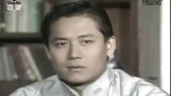 婉君在线观看,穿越时空的青春恋曲  第1张